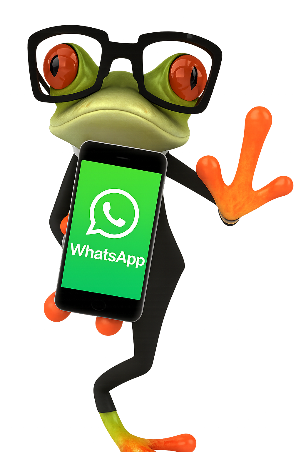 mascota contrate seguros